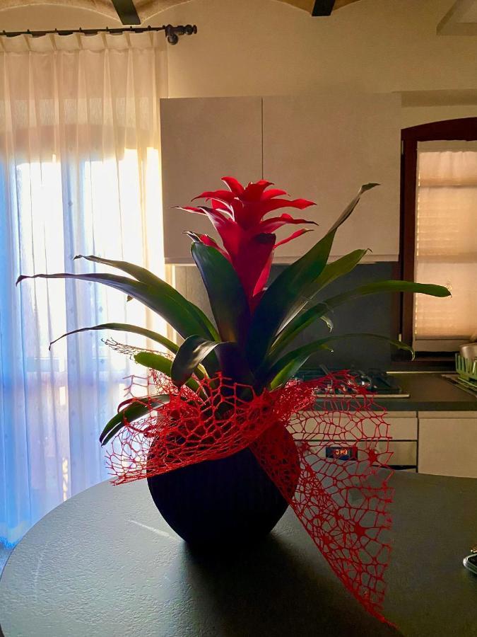 Mogliano B&B Terrazza Sul Borgo المظهر الخارجي الصورة